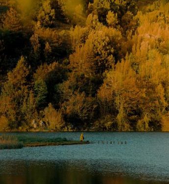 ‘Scatta il bosco Pefc’, un contest per le foto delle foreste d’Italia