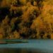 ‘Scatta il bosco Pefc’, un contest per le foto delle foreste d’Italia