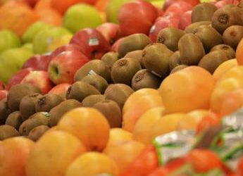 Spreco alimentare, vademecum per organizzare il frigorifero