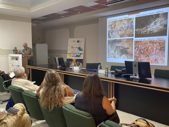 Stimolare le potenzialità del cervello, al Neuromed la ‘4A Summer School’