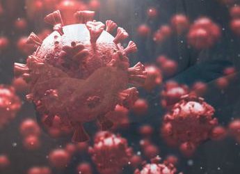 Covid, il virus sta cambiando troppo? Le novità sulla nuova variante