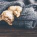 Dormire con il gatto o con il cane fa bene?