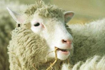 Ricerca, addio a Ian Wilmut, ‘papà’ della pecora clonata Dolly