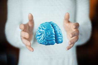 Ricerca, scoperte cellule cerebrali chiave per memoria, apprendimento e movimento