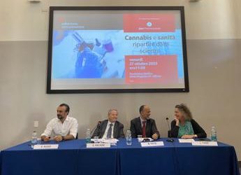Cannabis, esperti: “Ripartire dalla scienza distinguendo farmaci dagli altri prodotti”