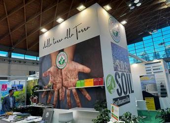 Biometano, un potenziale da 7 mld di metri cubi al 2030