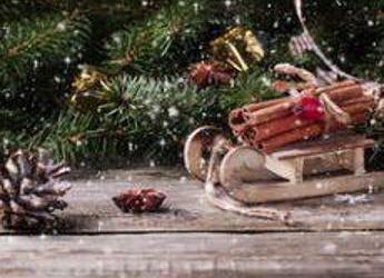 Natale, Assolavoro: “Dai promoter ai rider oltre 35mila opportunità di lavoro sotto l’albero”