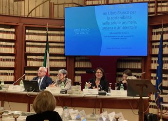 One Health, primo Libro bianco benessere animale, ambientale e umano&nbsp;
