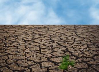 Una Terra sempre più arida, l’allarme degli scienziati