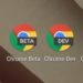 Google Chrome, nuova funzione per salvare immagini dai video