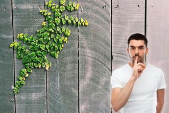 Che cosa è il green hushing e perché è un problema