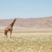 Coinbase all’assalto dell’Africa