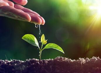 Consumo di suolo rallenta ma rimane elevato, persi 20 ettari al giorno