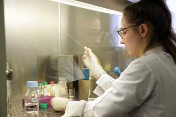 Gsk, ok Ue a terapia per splenomegalia in pazienti anemici con mielofibrosi