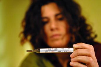 Influenza 2024, vicini al picco “ma è probabile una lunga coda”