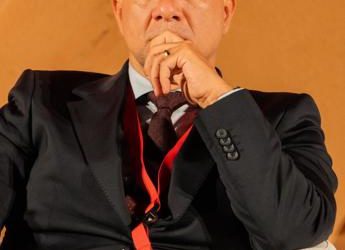 Autonomia, Lucciarini De Vincenzi (Ali): “E’ salto nel buio, accentuerà divario tra Nord e Sud”