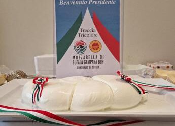 Dal Consorzio della mozzarella di bufala campana Dop una maxi treccia tricolore a Mattarella