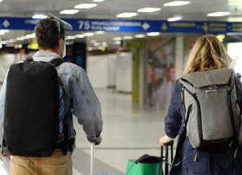 Dengue, “innalzare livello di allerta” in porti e aeroporti: la circolare