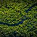 Foresta amazzonica a rischio entro il 2050