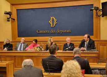 Innovazione e inclusione a sostegno del terzo settore