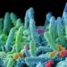 “Super batteri nuova pandemia”, appello microbiologi: fondi certi in Manovra e politiche ambientali﻿