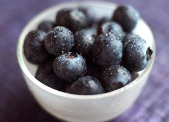 Svelato il segreto del ‘blu mirtillo’