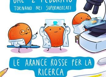 World cancer day, in 10mila supermercati le arance Airc per la ricerca