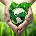 Earth Overshoot Day, dal 30 luglio in debito con la Terra: finite le risorse 2026