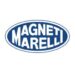 Magneti Marelli di Crevalcore: sarà acquistata a 1 euro da Tecnomeccanica