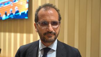 Nuove tariffe, Gemmato: “Al lavoro per non mortificare realtà produttive