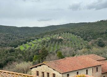 Sostenibilità, Borgo di Perolla: laboratorio naturale per gli agronomi di domani