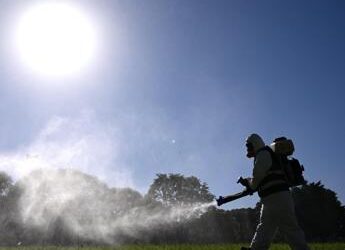 Dengue, coppia contagiata in Umbria: “Avevano fatto un viaggio all’estero”