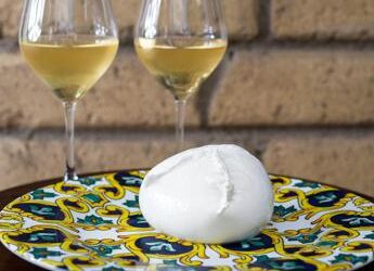Enogastronomia, Cibus, anteprima migliori vini italiani con mozzarella di bufala campana Dop