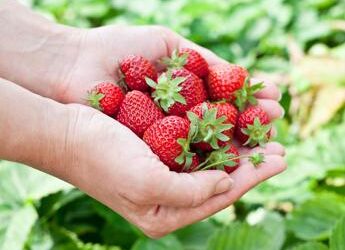 Leggera, colorata e anti-allergie: ecco la dieta di primavera