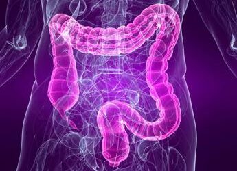 Medicina, sindrome intestino irritabile e sistema cardiovascolare sono legati