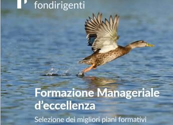 Presentato da Fondirigenti il Catalogo della formazione manageriale d’eccellenza 2023