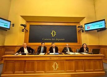 Salute, Ordine psicologi: “Dopo sedute bonus per paziente migliora qualità di vita’
