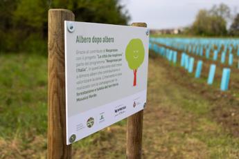 Sostenibilità, a Pradamano nasce un nuovo bosco urbano di 1.000 piante