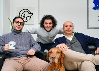 Startup, FidoCommercialista semplifica burocrazia e chiude round di 1,2 mln euro