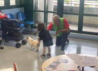 Al Niguarda e Fatebenefratelli Milano Cat Therapy per mille bambini