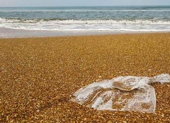 Beach Litter 2024, la top five dei rifiuti raccolti
