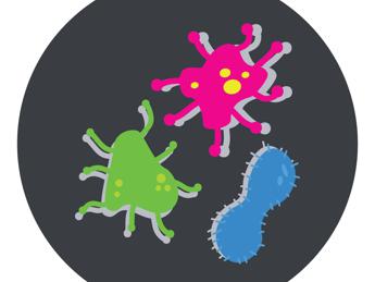 Dopo Covid record streptococco: test e tampone, istruzioni per l’uso