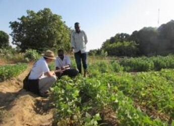 Fiere: il 15 maggio a Fiera Roma al via Codeway Expo