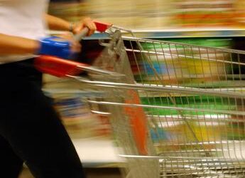 Italiani sempre più attenti a salute, nutrizione e sostenibilità