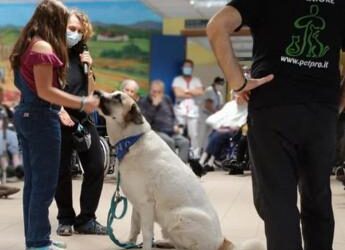 Non solo Pet Teherapy, gli amici a 4 zampe entrano nelle Rsa