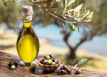 Olio d’oliva contro il cancro, 3 cucchiai al giorno riducono il rischio di morte