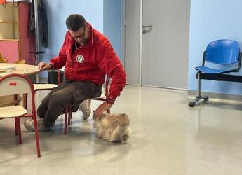 Pet therapy, Colombo (Frida’s Friends Onlus): “Progetto nato per aiutare persone con disabilità”