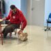 Pet therapy, Colombo (Frida’s Friends Onlus): “Progetto nato per aiutare persone con disabilità”