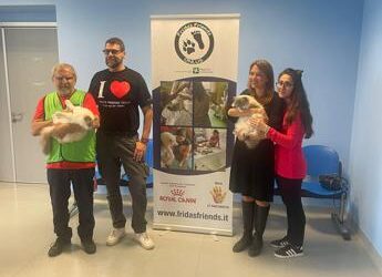 Piperno (Royal Canin Italia): “Cani e gatti migliorano il mondo per i meno fortunati”