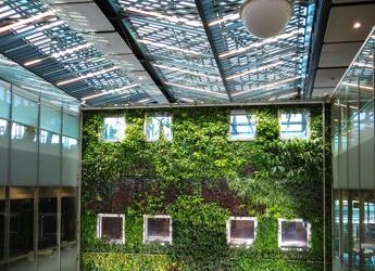 Verso il cemento verde, la scoperta inglese